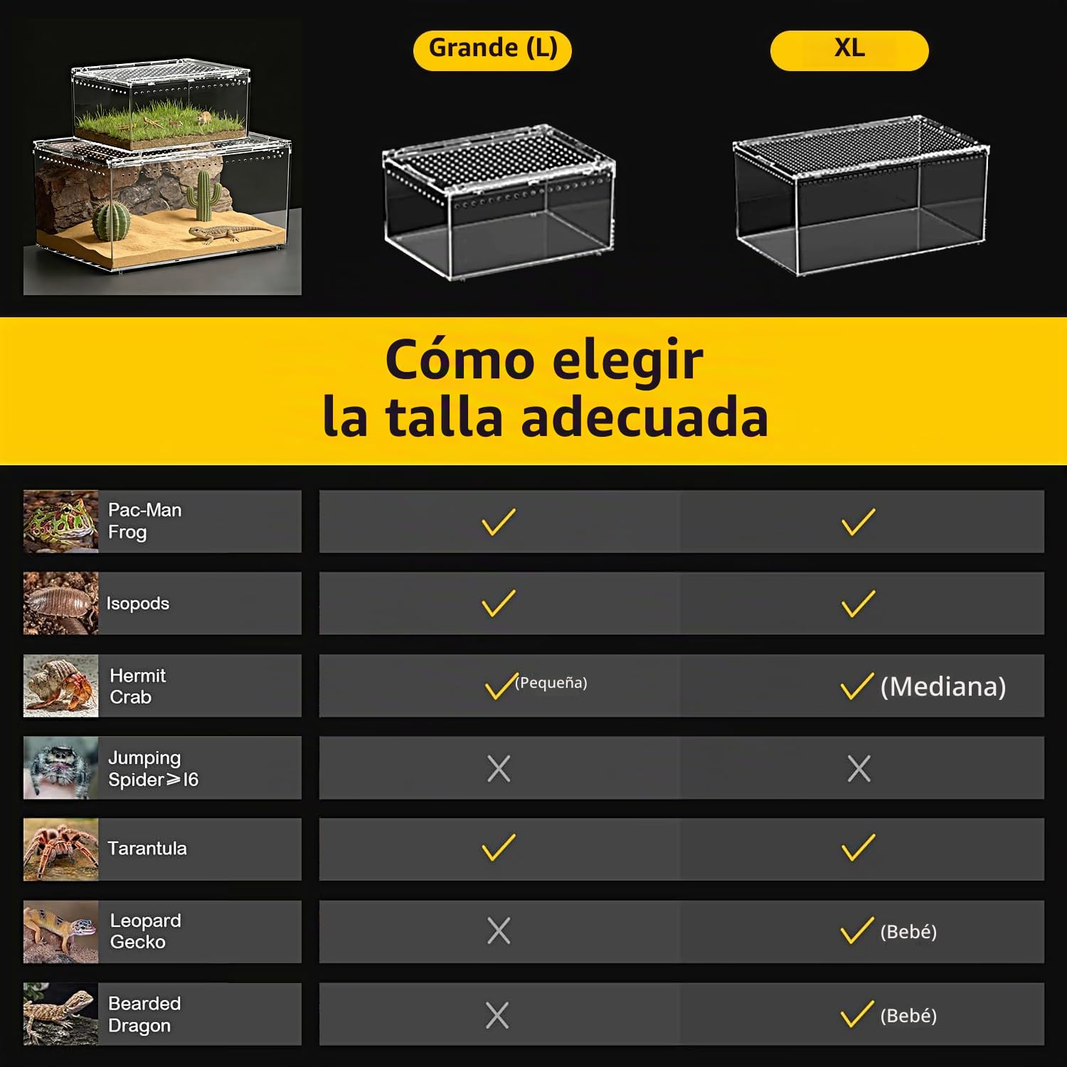 Terrario para Reptiles PC, Recinto para Tarántulas, Tanque para Arañas con Botón Magnético. Terrario para Lagartos de 30x20x15 cm, Tanque de Cría de Reptiles para Insectos, Peces, Cangrejos Ermitaños
