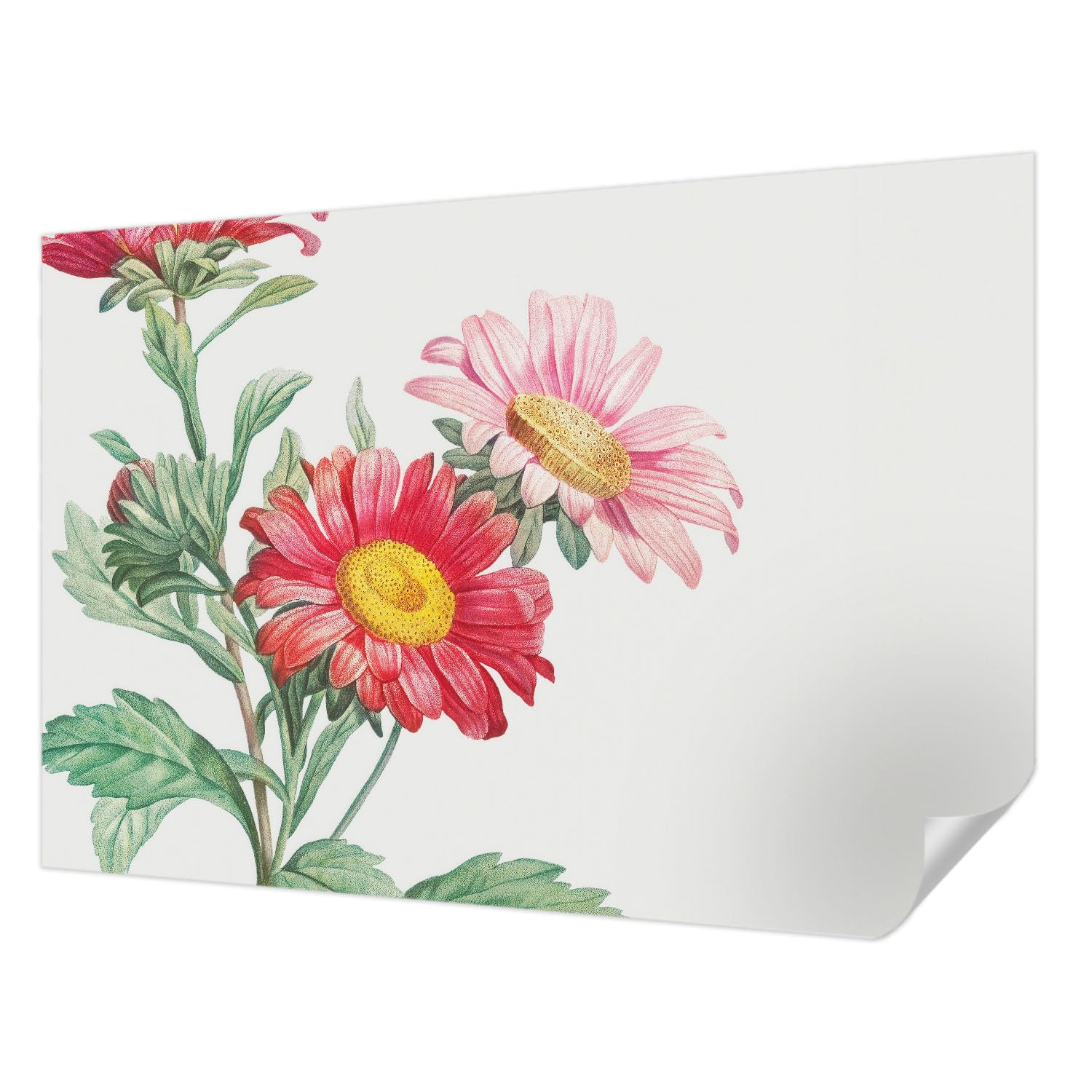 Papel pintado autocolante Tulup moderno de flores delicadas, mural fotográfico de 152x104 cm
