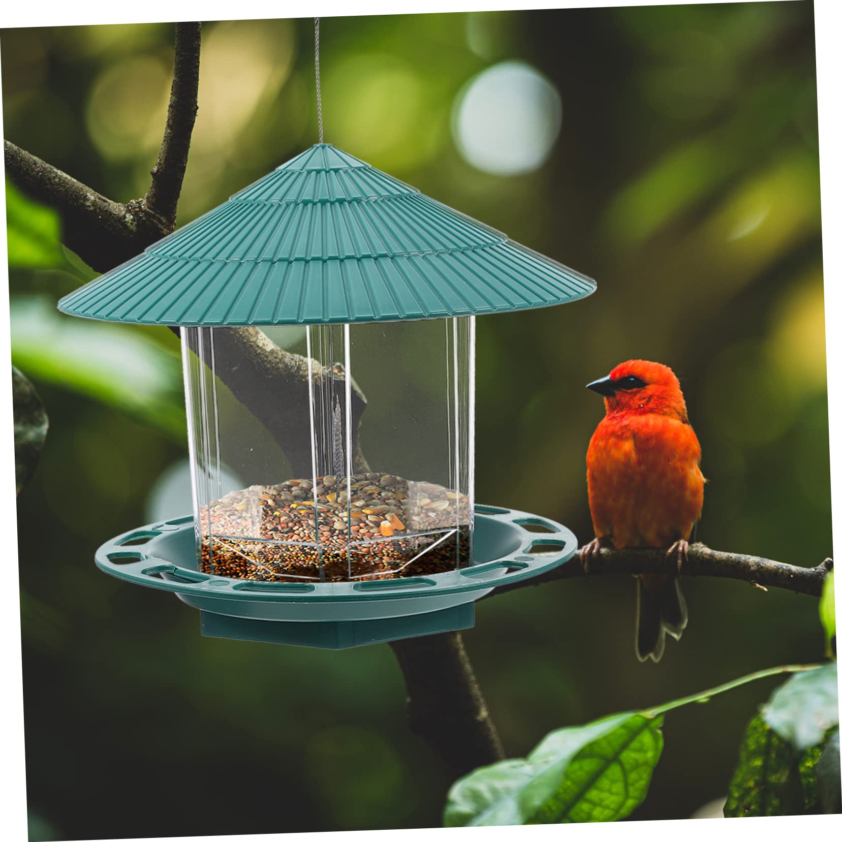 Transparenter Vogelfutterspender für Wasserdichter Vogelfutterbehälter aus Kunststoff Futterstation für Wildvögel im Garten Aufzuhängen für Ganzjährige Fütterung