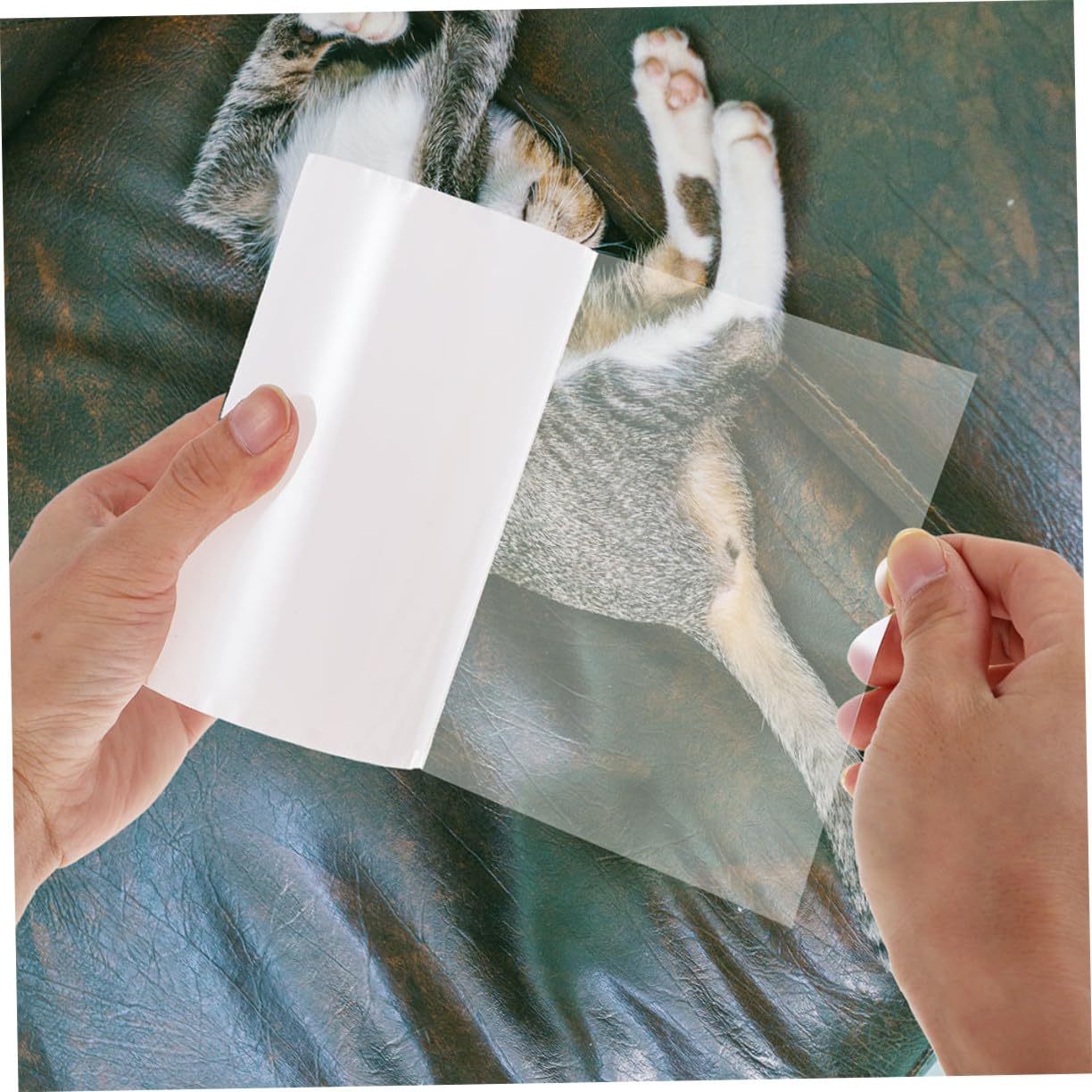2 Rollen Verschleißfestes Katzen kratztape Transparenter Möbel schutzaufkleber Kratzfest Abwaschbar Wiederverwendbar Haushaltsmöbel Schutz für Sofas und Couch Katzenmöbelschutz