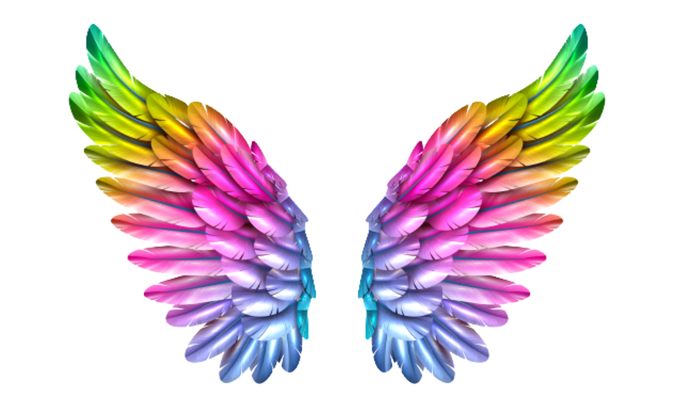 Vinyl Design Decor Multicolor Wings Sticker For Wall Sticker For Cafe & Restaurant-image-13