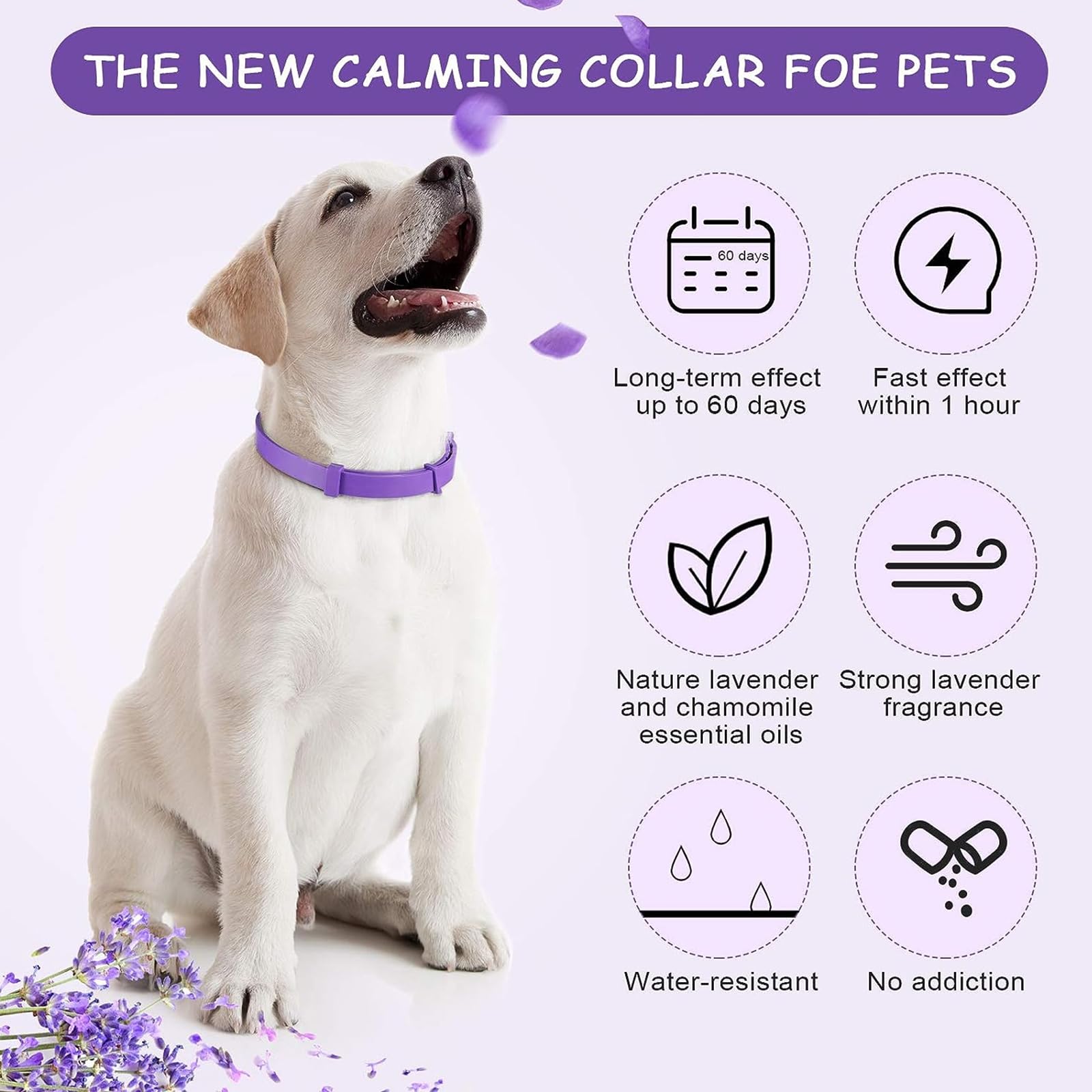 XoeLLe Beruhigungshalsband fr Hunde, 2 Pack Verstellbares Calming Collar  for Dogs, Beruhigungsmittel Halsband 60 Tage Schutz, Angst Stress  Pheromon-Beschwichtigungshalsband fr Groe, Mittlere Hunde : Amazon.de:  Haustier