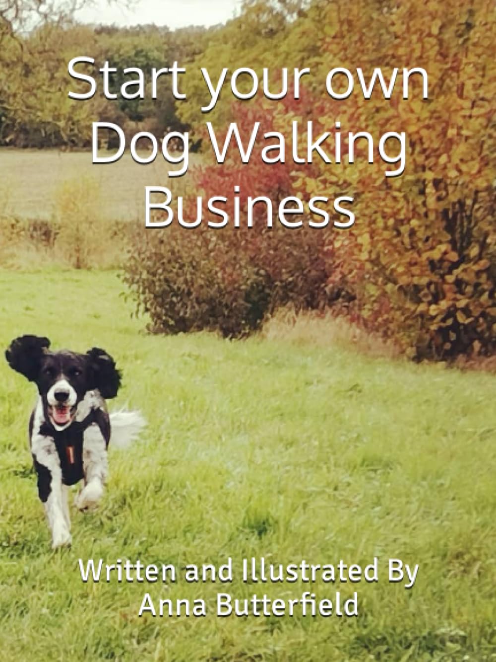 Start your own Dog Walking Business