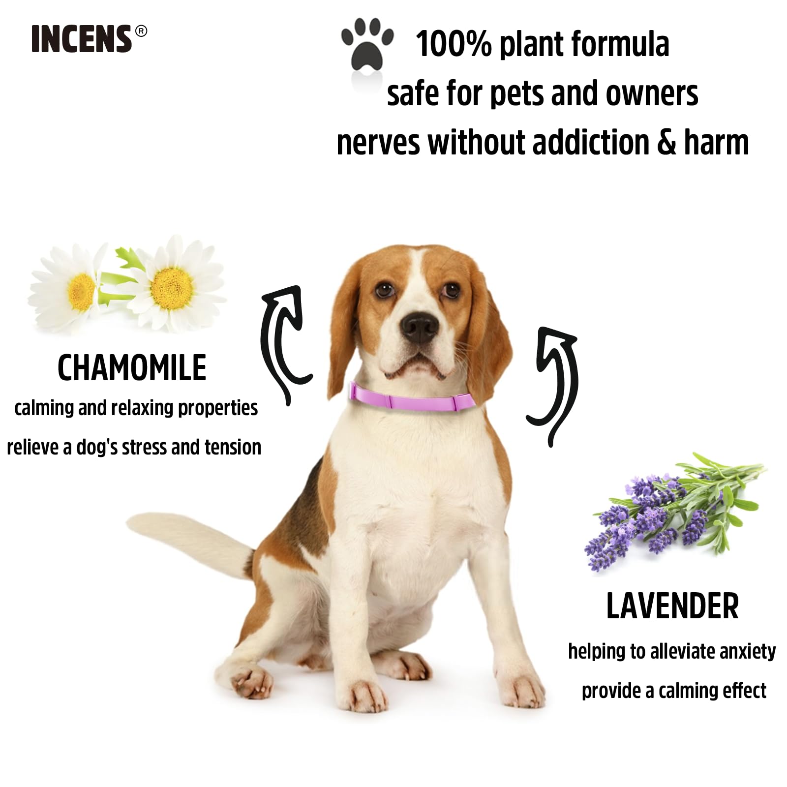 INCENS Calming Collar for dogs designed to alleviate anxiety in dogs - Image 4
