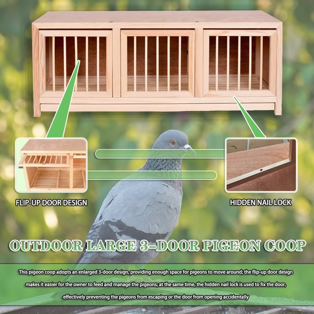 Jaula Grande apilable para Palomas con 3 Puertas - Nido para Palomas mensajeras de Exterior, Cierre de Clavo Oculto, Bandeja extraíble para excrementos, 2 Piezas de Color Natural - Ideal par