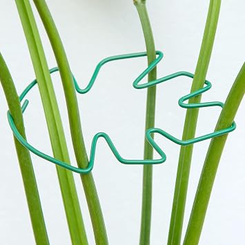 Yohsnor Monstera Plant Stem Support, 5-Pack Durable Indoor Stabilizer for Climbing Plants, 5.5x4.7 Inches Leaf Holder, for Plant Lovers, Enhance Your Indoor Garden