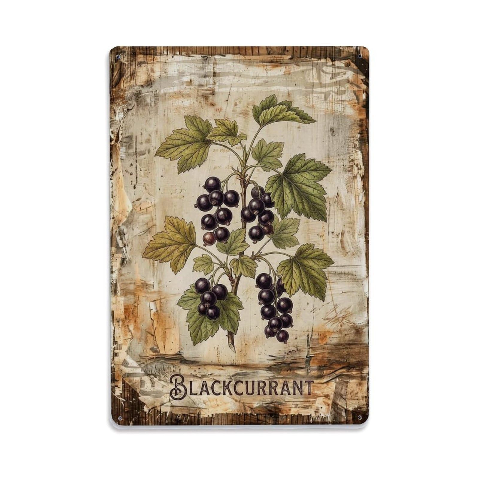 Blackcurrant Botanical Vintage Metal Tin Sign Plaque Wall Decor for Cafe, Club, Garden Metal Poster 8x12Inch