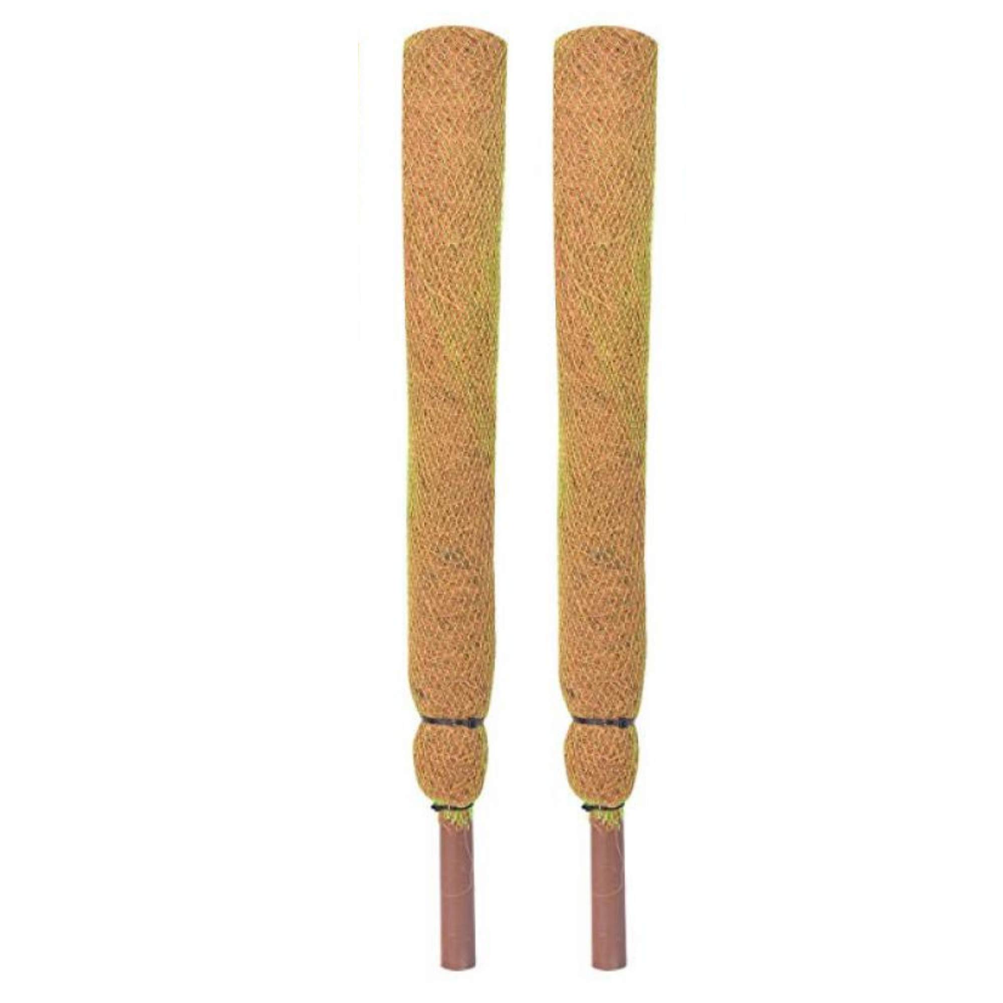 sparKenzy Coir Moss Stick For Plant Support, Brown, 2 feet, 2 Pieces (B08HQL71XD) Amazon Price History, Amazon Price Tracker