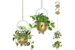 Gold Hanging Planters for Indoor Plants by AceList