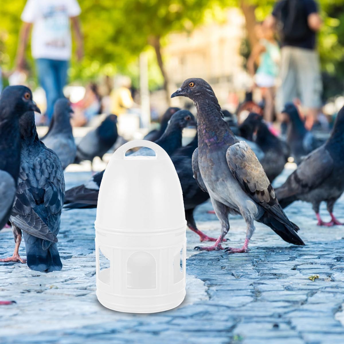 2pcs Pigeon Water Feeder and Bird Cage Water Dispenser Set, 3l Light and Leaf Plastic Containers, Suitable for Pet Birds and Pigeons