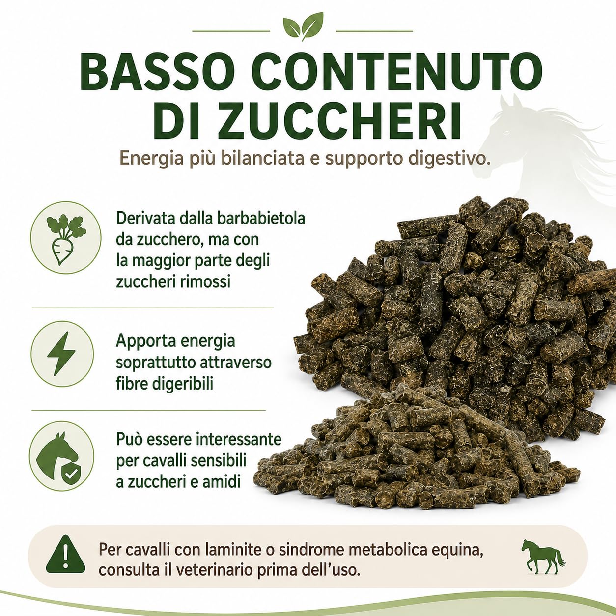 Polpa Barbabietola per cavalli | Polpa di Barbabietola per Ovini e Suini | Ottima per regolarizzare la motilità Intestinale - sacco da 25 kg