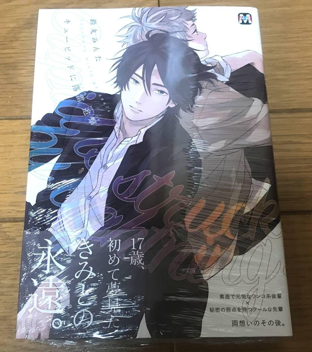鈴丸みんた  キューピッドに落雷　追撃　アニメイトとらのあなコミコミ特典付 Amazon.co.jp: 鈴丸みんた「キューピッドに落雷 追撃」特典25点