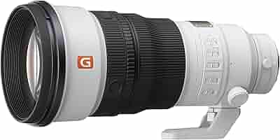 Amazon.co.jp: Sony FE 300mm F2.8 GM OSS : 家電＆カメラ