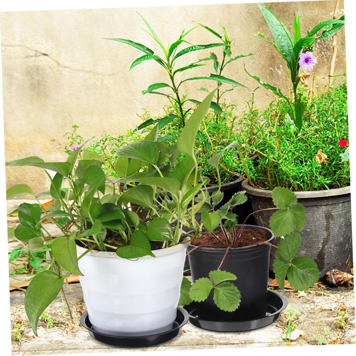 balacoo 80pcs Plant Trays for Pots Round Plant Saucer Flower Pot Water Tray Plastic Garden