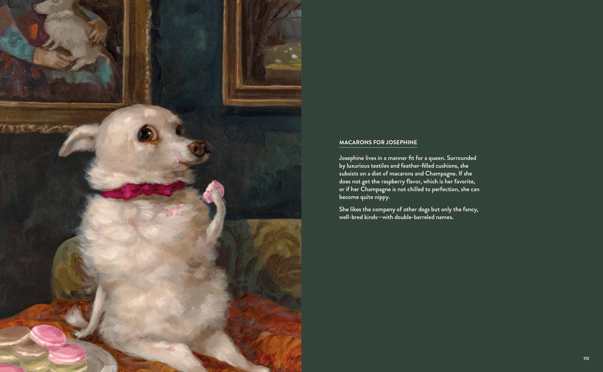Dog Only Knows : The Dog Portraits of Alison Friend