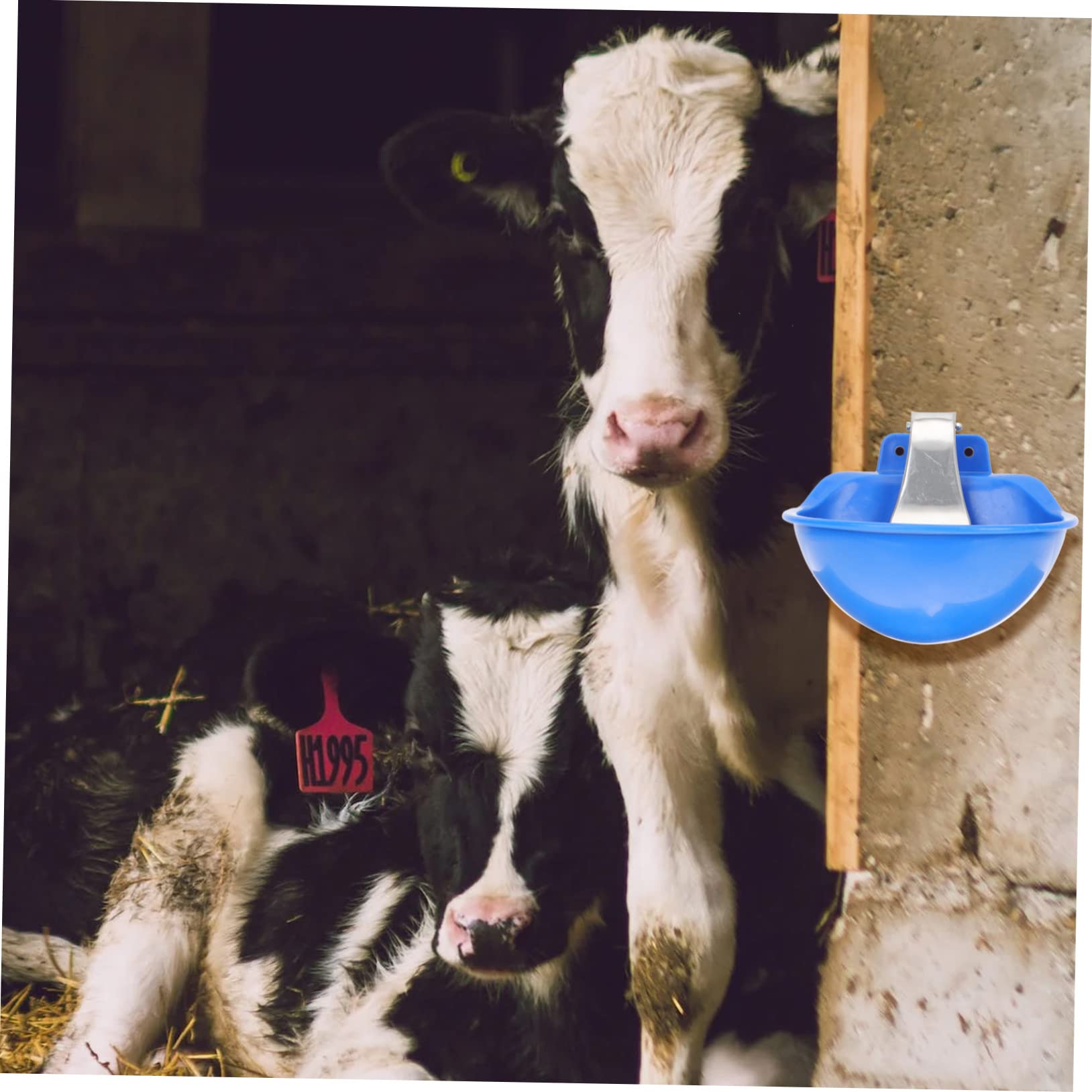Bebedero Automático para Ganado de Plástico y Acero Inoxidable Azul | Gran Capacidad, sin Fugas de Agua, Fácil de Usar para Ovejas y Otros Animales de Granja