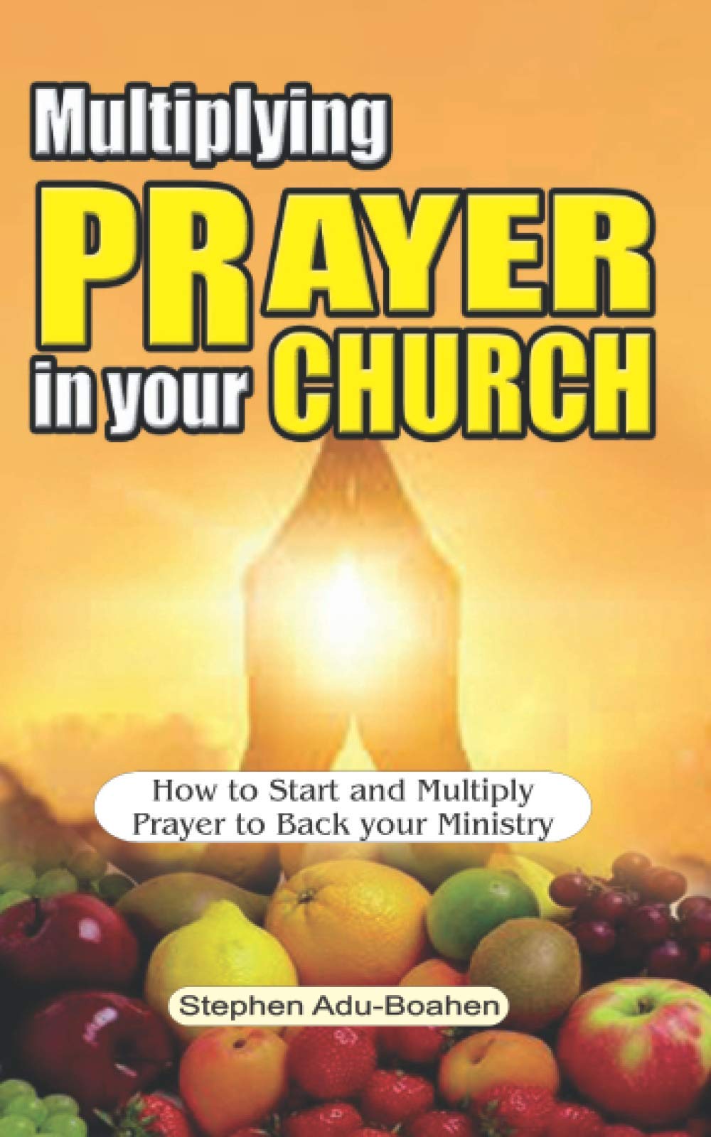Multiplying Prayer in your Church: How to Start and Multiply Prayer to Back your Ministry: 1 (Church Ministry Series)