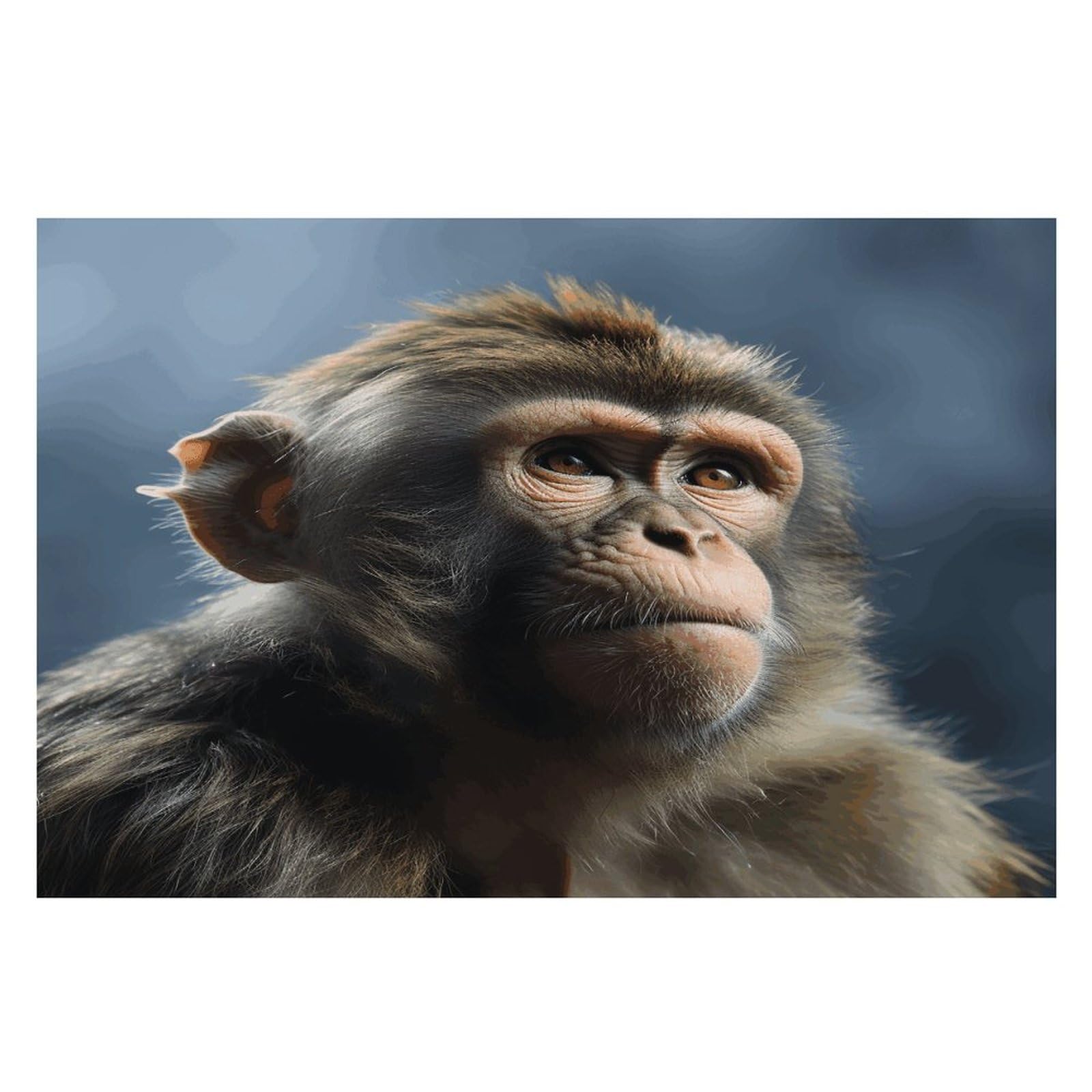Monkey Placemats Wipeable Heat Resistant Table Mats Washable Flax Place Mats Elegant Cloth Non-Slip Placemat for Kitchen Dinning Party Table Decor 12 * 18 in