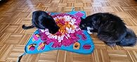 Snuffeltapijt Voor Honden En Katten - Interactief Snuffelspeelgoed Tegen Verveling Spannende Snuffelmat Voor Geurtraining En Bezigheid  Trashed