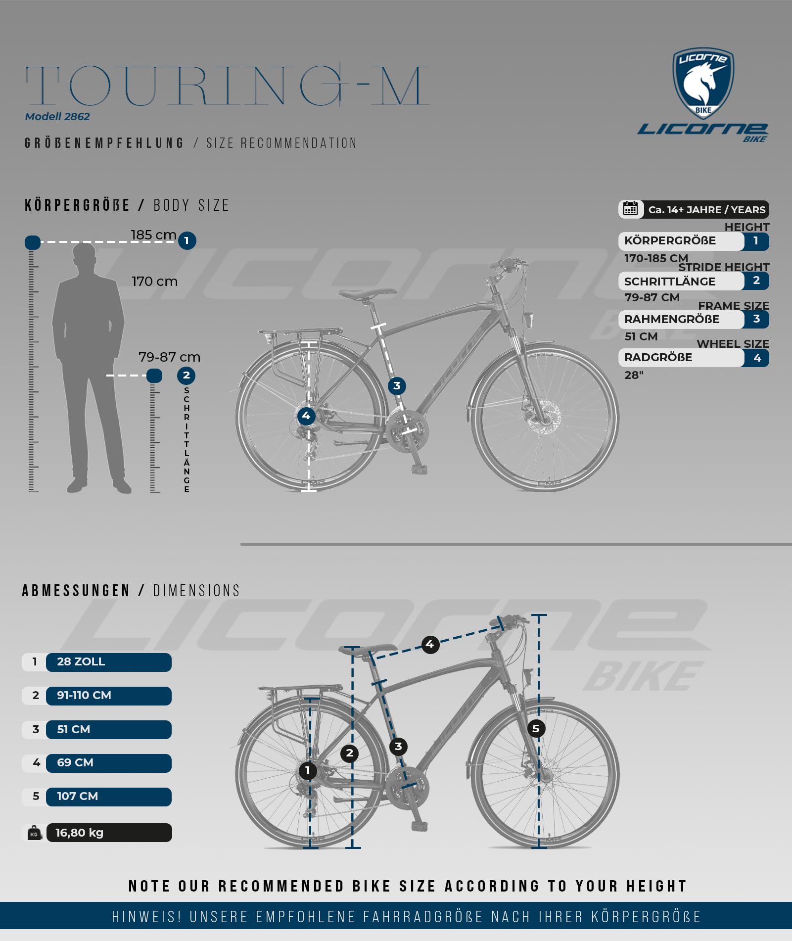 Licorne Bike - Bicicletta da trekking in alluminio, da 28 pollici, con cambio a 21 marce, freno a disco, mountain bike, bici da cross, bici da ragazzo, ragazza, donna e uomo