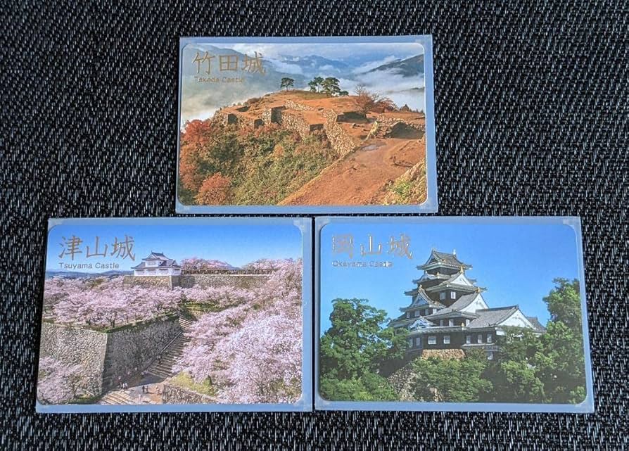 名城カード　ホルダー　&　名城カード　続名城カード　11枚　合計　12個セット 名城カード ホルダー & 名城カード 続名城カード 11枚 合計 12個