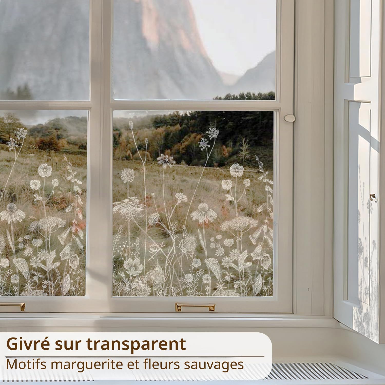 funlife botanique Verre dépoli Films pour fenêtre, Transparent Chardon Marguerite Fleur Sauvage Film pour fenetre, décoratif Double Face Convient pour Les Salons, Chambre à Coucher, Bureau 120X58CM
