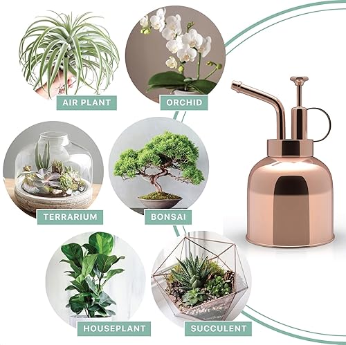 Miniatura 4 de Regadera de acero inoxidable para plantas de interior, suculentas, bonsái, jardín, pulverizador, herramientas modernas de jardín, 10 onzas (oro rosa)