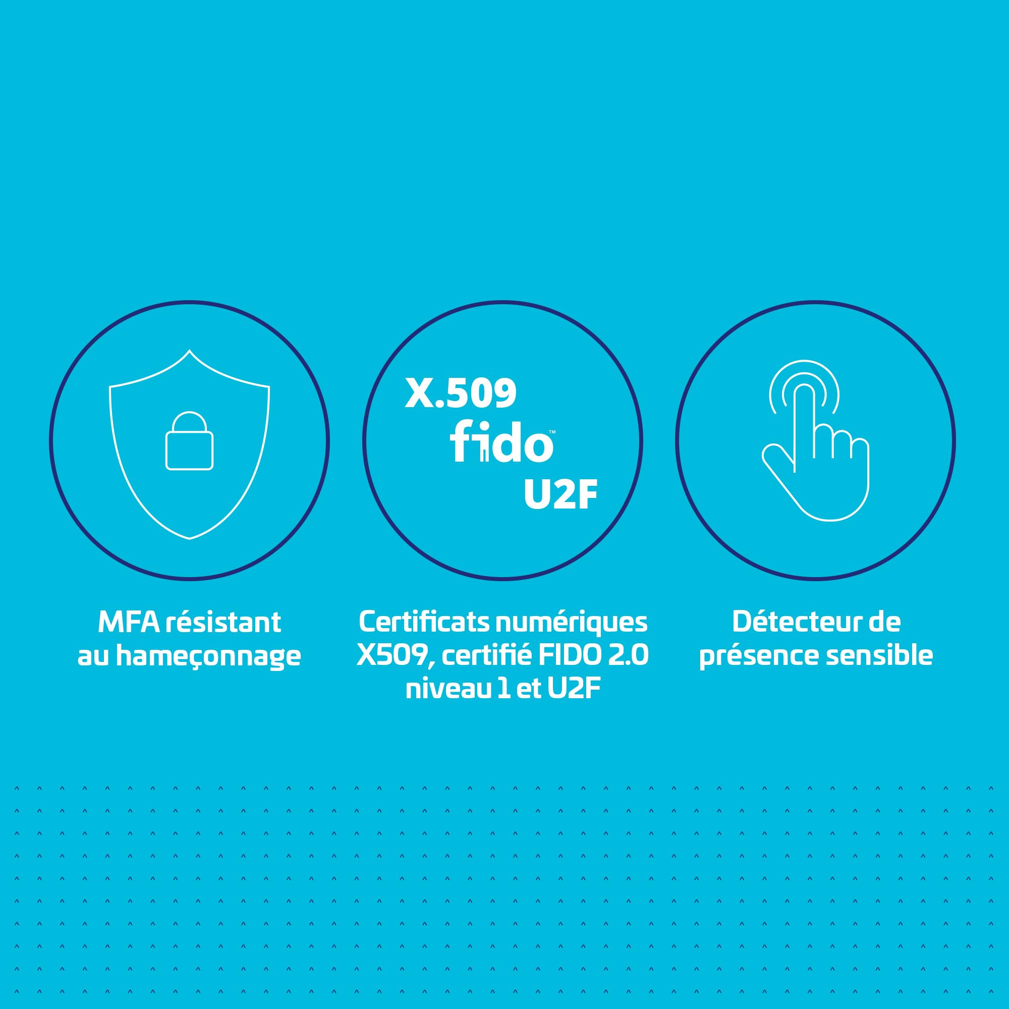 Thales – Clé de Sécurité SafeNet eToken Fusion – Résistante Aux Attaques de hameçonnage, pour Les Certificats Numériques et l’Authentification FIDO2 pour Les Applications Web et PC – USB-A-1