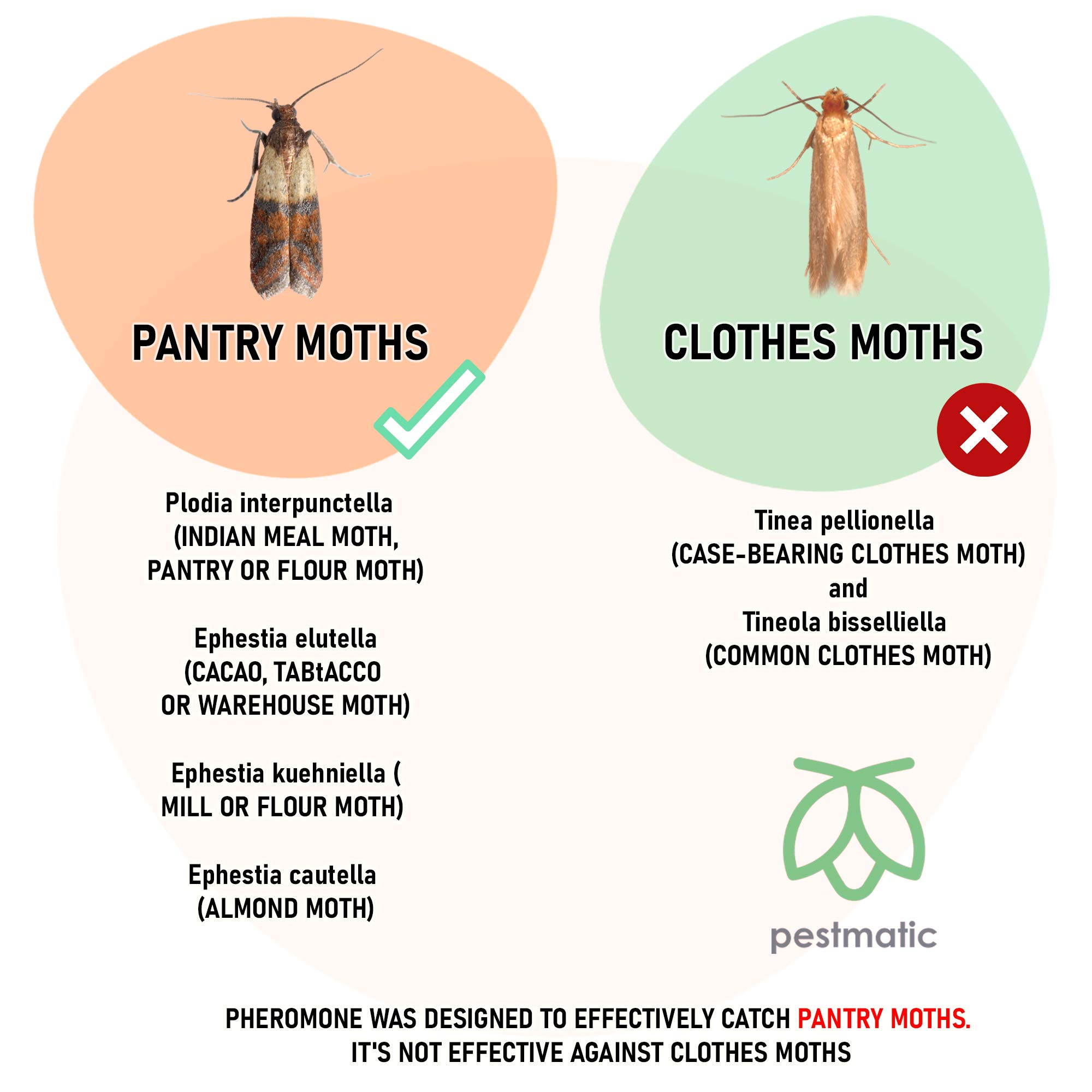 Pestmatic Smart Moth Trap x8, Pantry Moth Killer for Kitchen, Pheromone