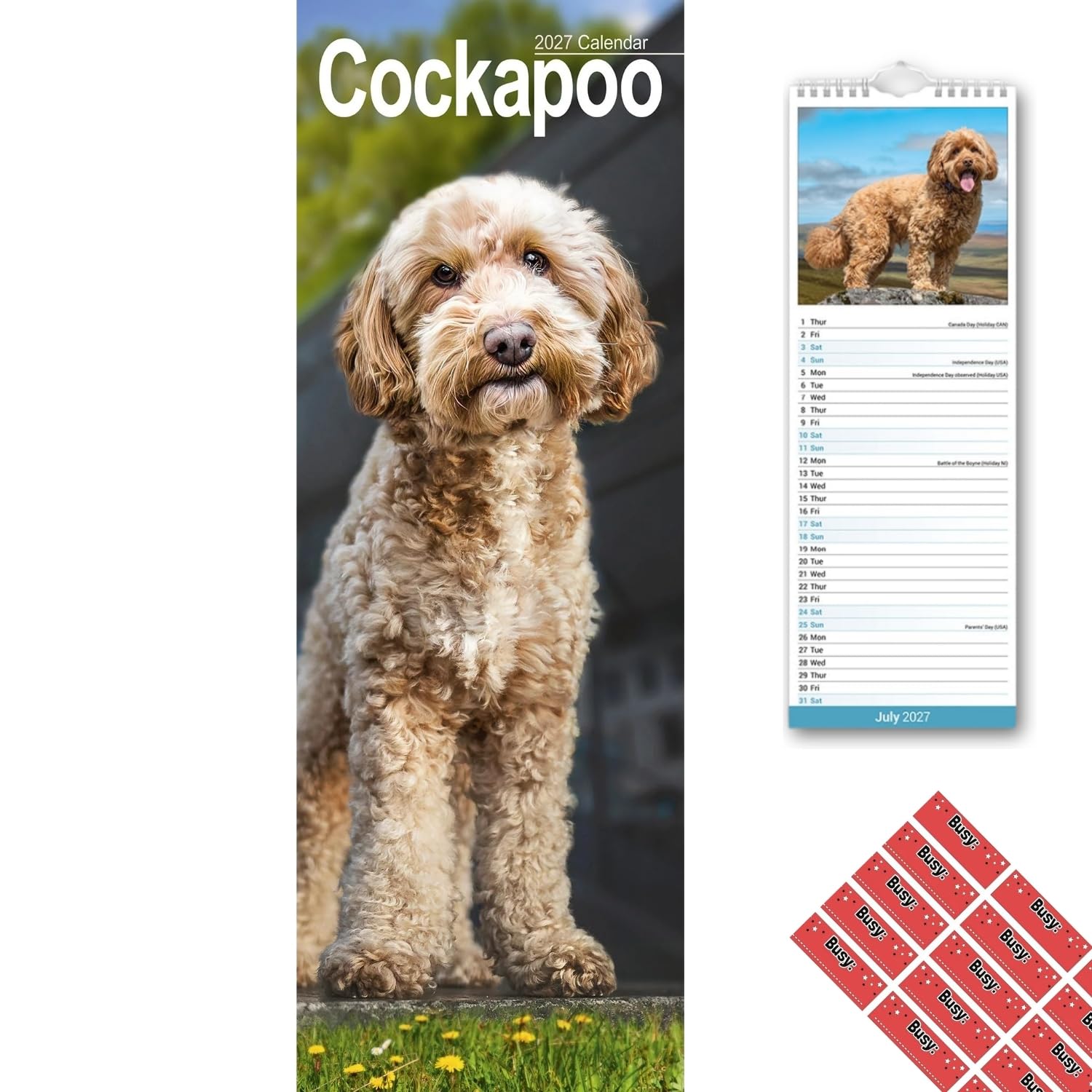 Avonside Cockapoo 2027 Slimline Calendar with Organisational Stickers