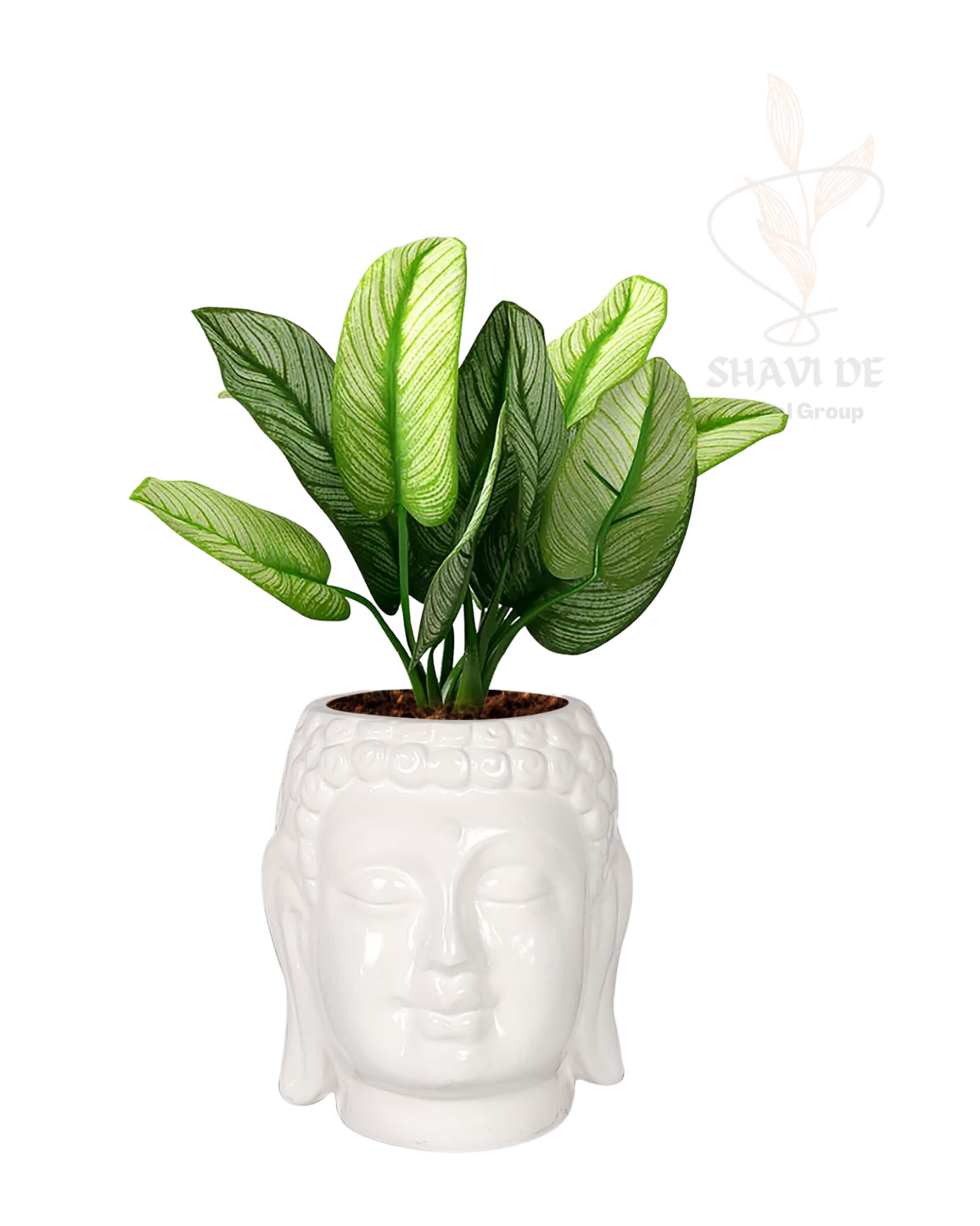 SHAVI Buddha 5" Planter Gifting Home Decor Indoor Improvement Home Garden (H 12.5 X D 12.5cm) (White) (B0CL54GX73) Amazon Price History, Amazon Price Tracker