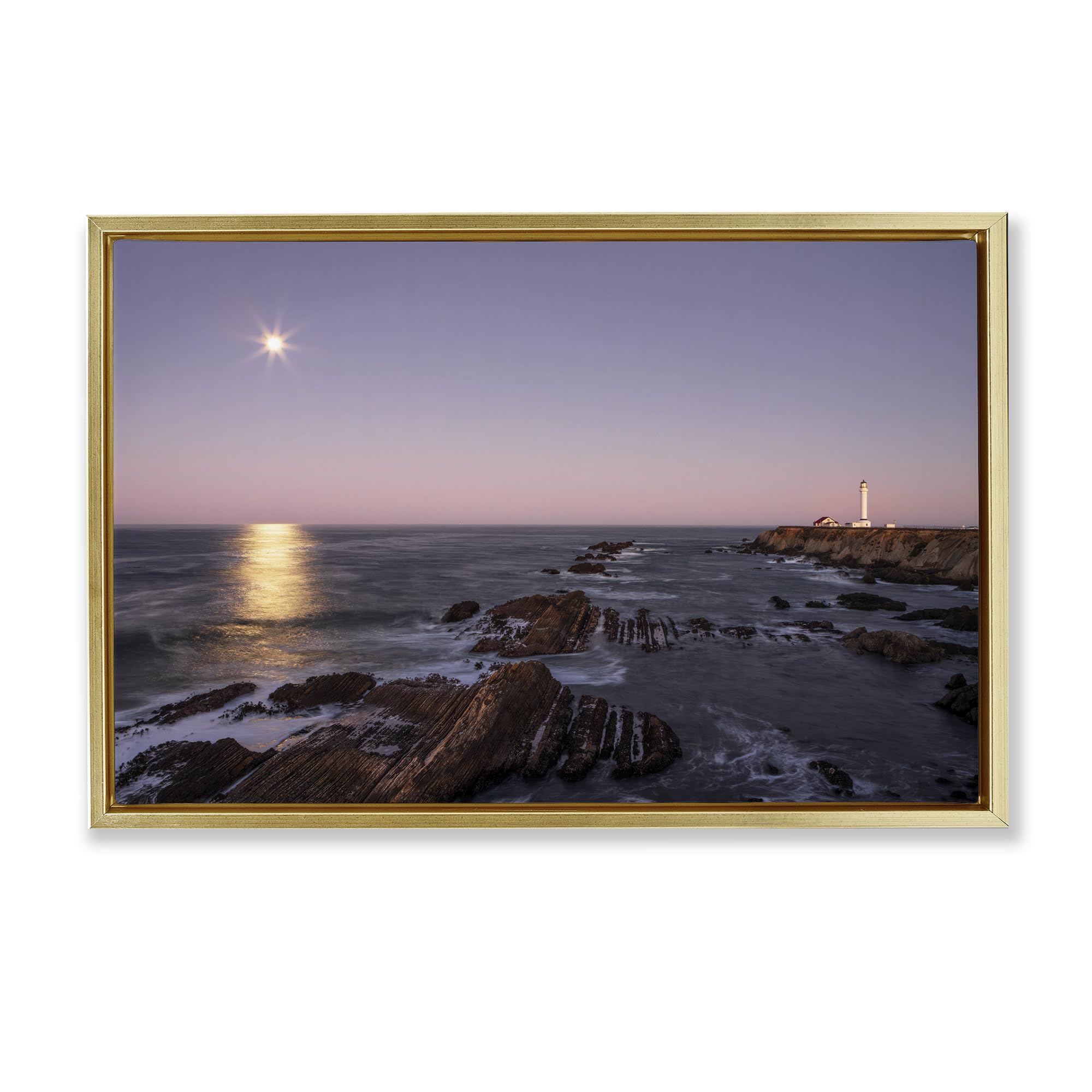 'Moon Arena Coastline'| Floating Frame Canvas Art