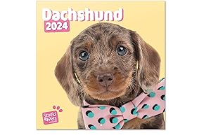 2024 Dachshund Wall Calendar, 12" x 12"