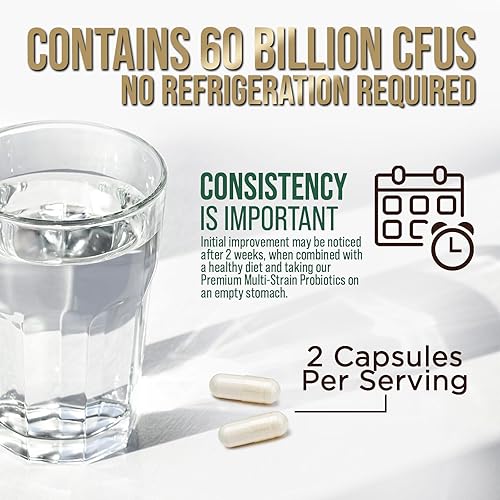 Miniatura 8 de Probióticos 50 mil millones de UFC + 10 cepas Probiótico diario de absorción máxima para mujeres y hombres, mezcla de lactobacillus para apoyo