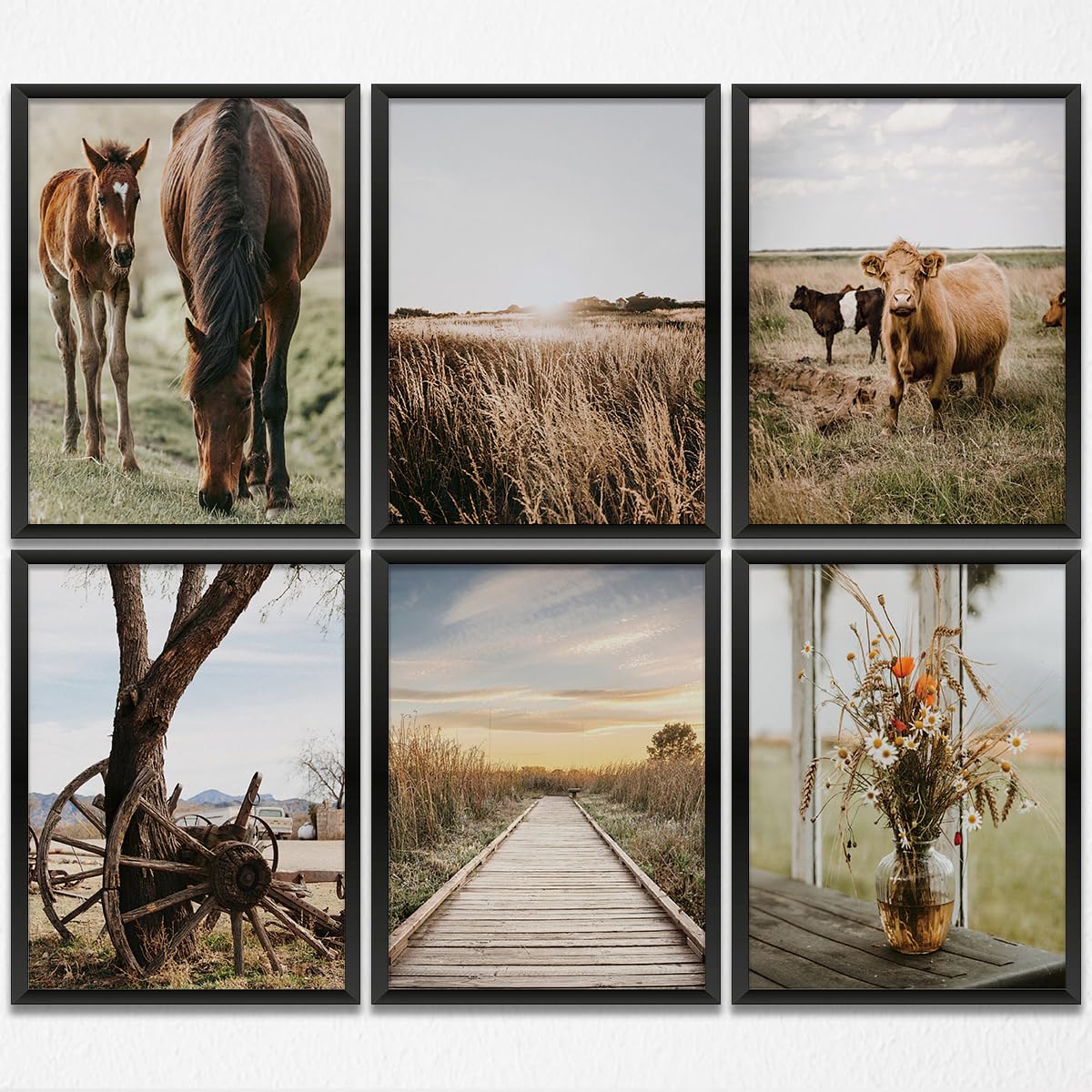 Vintage Farm Cow Wall Art - Rustic Western Prints -8