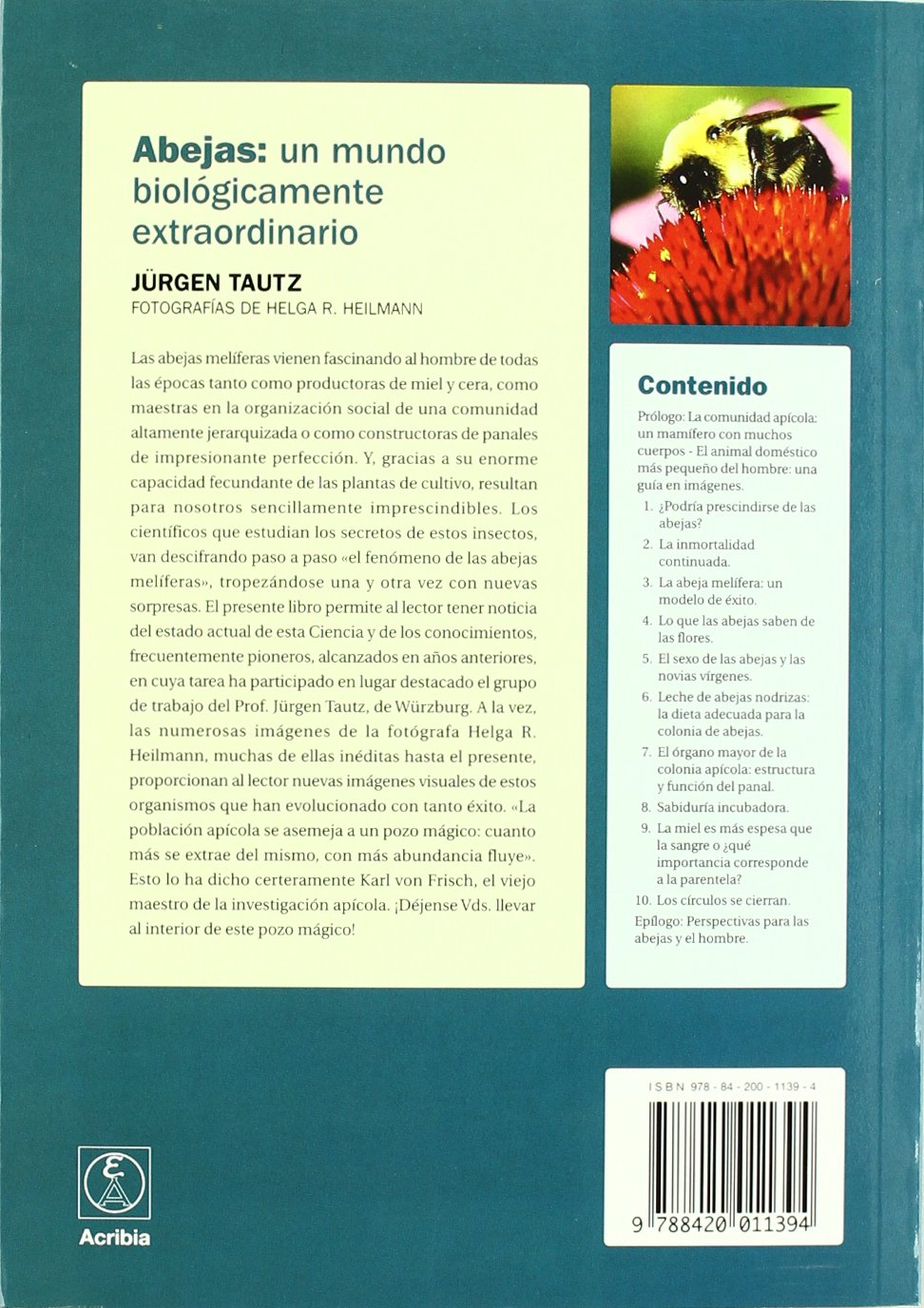 Abejas: un mundo biológicamente extraordinario (MICROBIOLOGIA E HIGIENE ALIMENTARIA)
