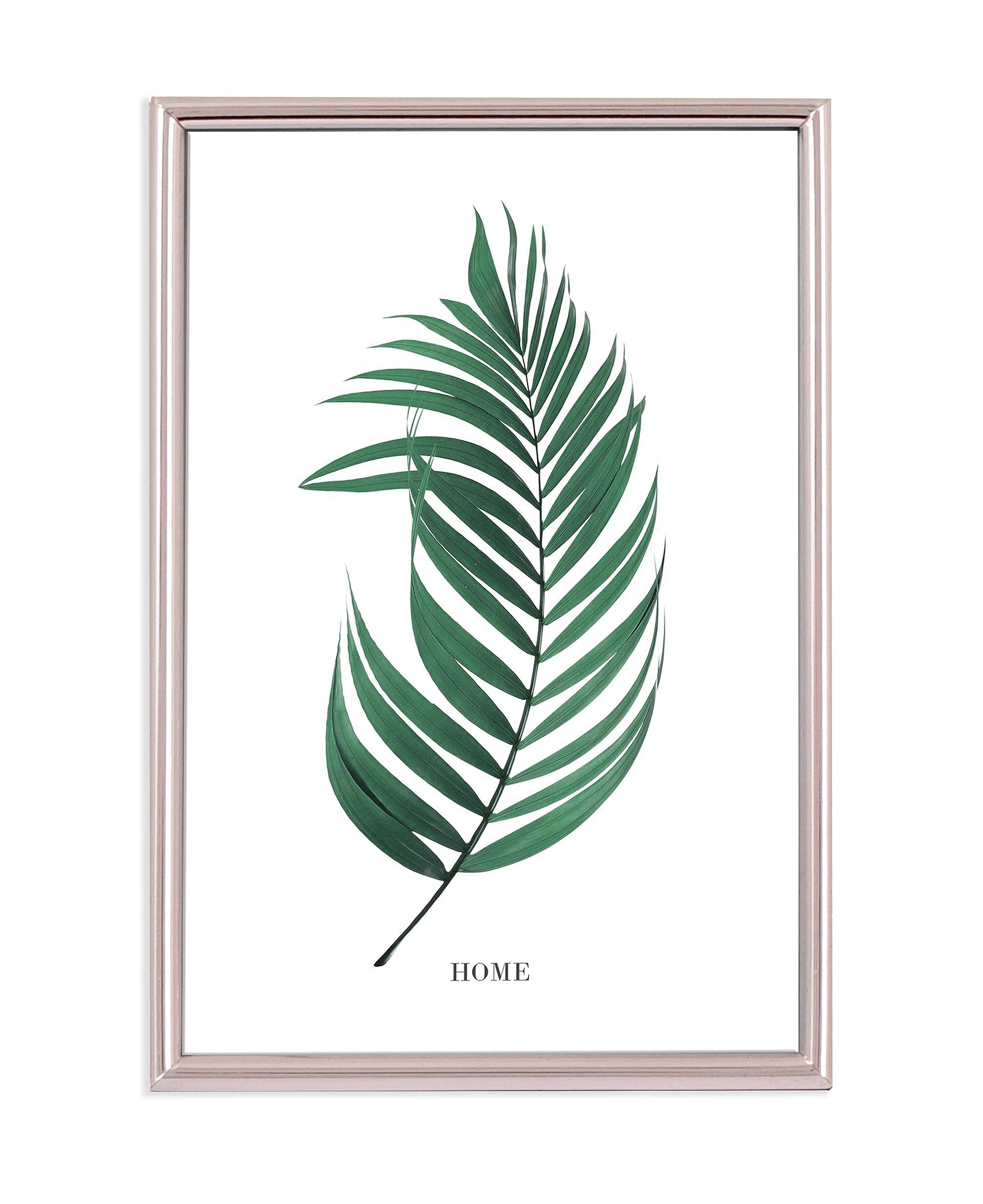 Inov8 Framing Tarnish Resistant Silver Plated Picture Frame - Thin Edge Design for 7x5 Inch (18x12cm) Photo
