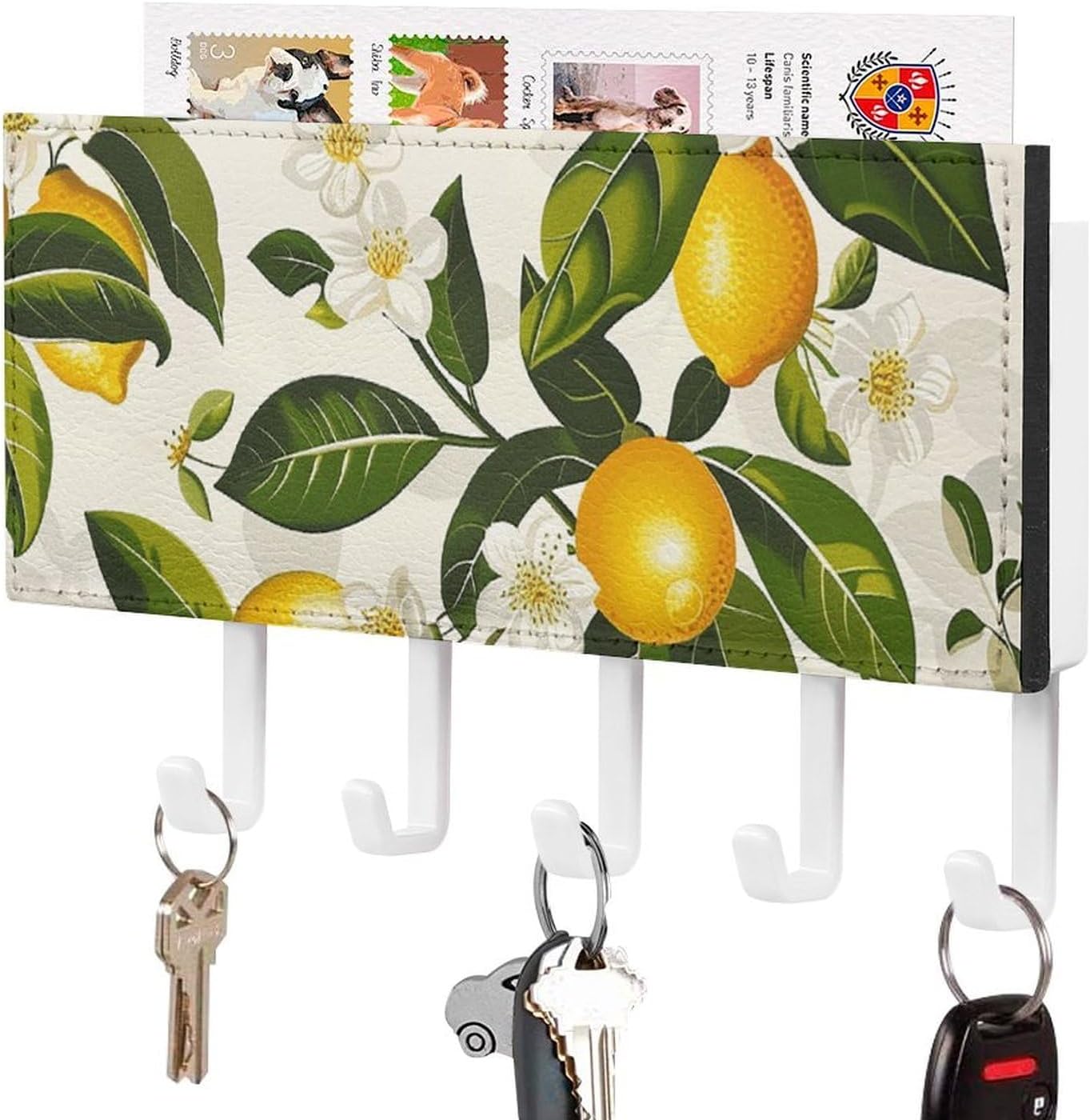 Lemons and Flowers Key Holder Wall Mount, Adhesive Key Rail Rack Hanger Holder White with 5 Hooks, No Drill, Keys Chain Organizer for Living Room, Front Door, Hallway, Office