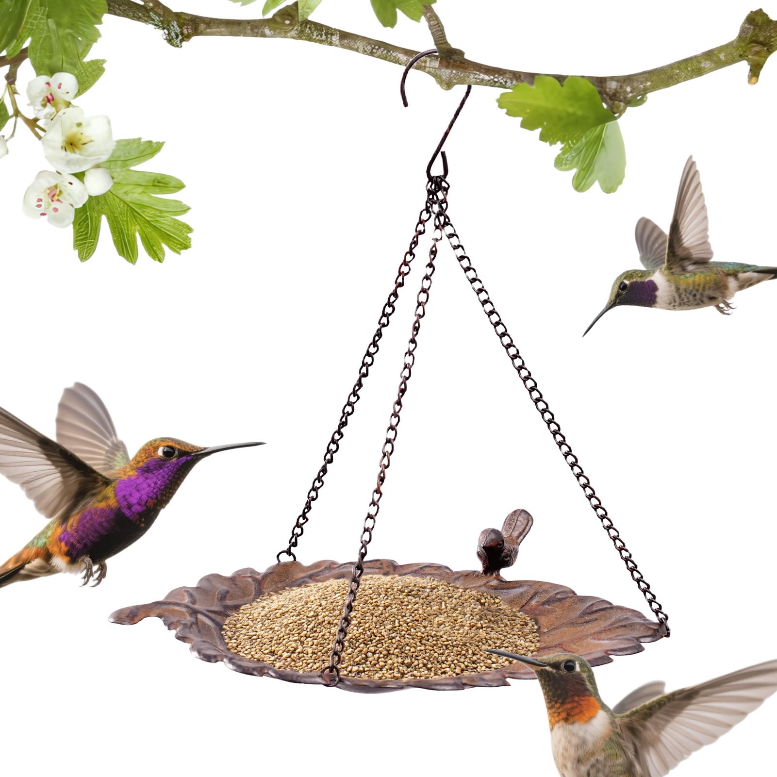 Mangeoire plate pour oiseaux sauvages pour animer votre pelouse et arrière-cour