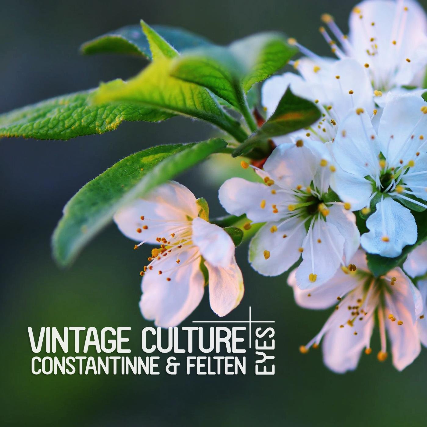 Vintage Culture, Constantinne & Felten