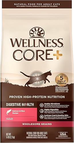 Wellness CORE Digestive Health - Alimento seco para gatos con salmón y arroz, bolsa de 5 libras