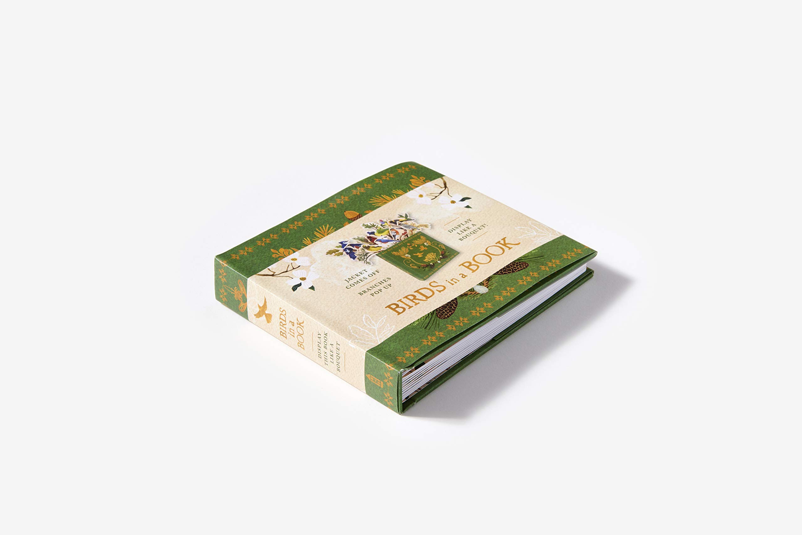 Birds In A Book. A Bouquet In A Book: Jacket Comes Off. Branches Pop Up. Display Like a Bouquet!