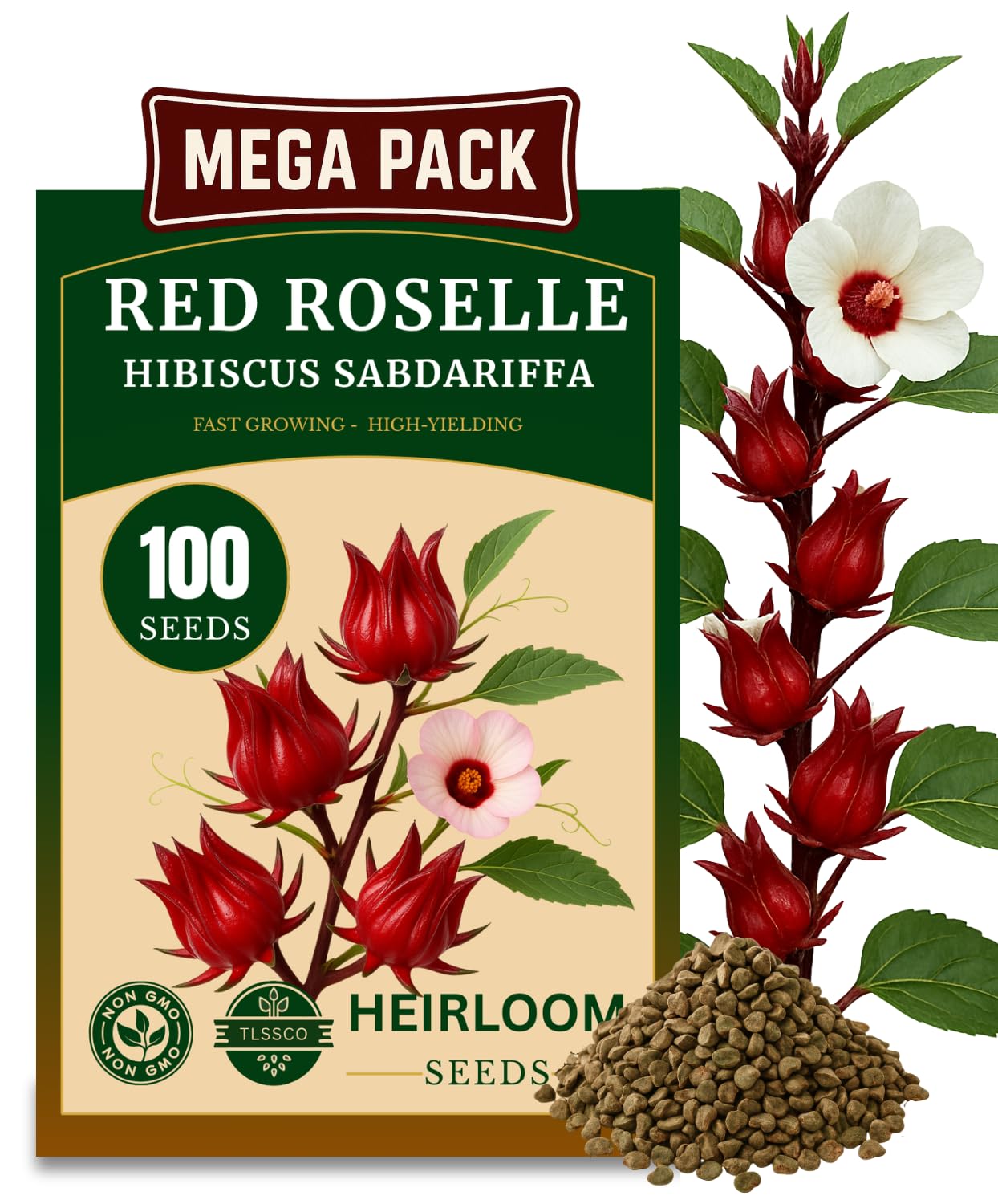 Amazon.com : 100+ Red Roselle 𝗡𝗢𝗡-𝗚𝗠𝗢 𝗨𝗦𝗔 𝗣𝗥𝗘𝗠𝗜𝗨𝗠 Seeds for  Planting – (Hibiscus Sabdariffa) Fast Growing Hibiscus Flowers : Patio,  Lawn & Garden