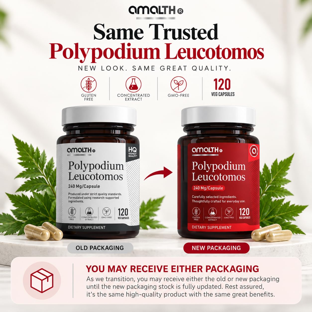 AMALTH Polypodium Leucotomos Capsules 240 mg | Polypodium Leucotomos Extract Supplement | Skin Support & Antioxidant Formula | Sun Support Herbal Supplement | Plant Based | Non-GMO | 120 Veg Capsules — Amazon image 8
