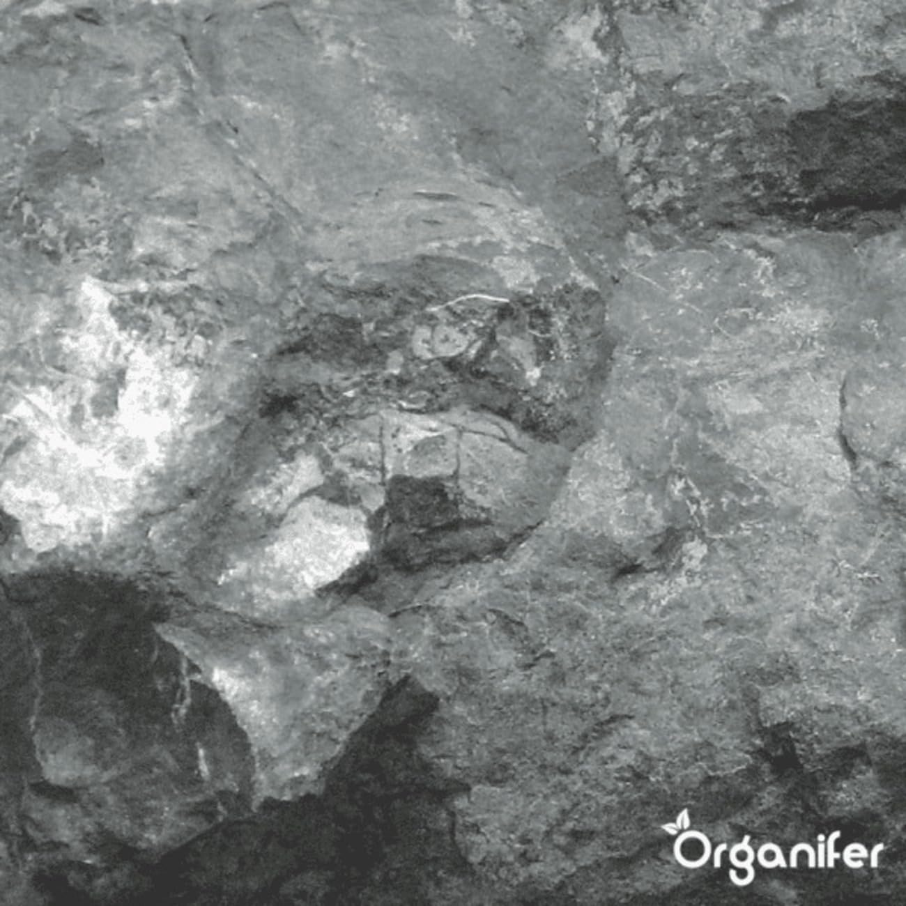 Farina Di Basalto - 20 Kg - Farina Di Pietra Primaria Naturale Per Piante Sane E Miglioramento Del Terreno - Ricca Di Oligoelementi - Organifer