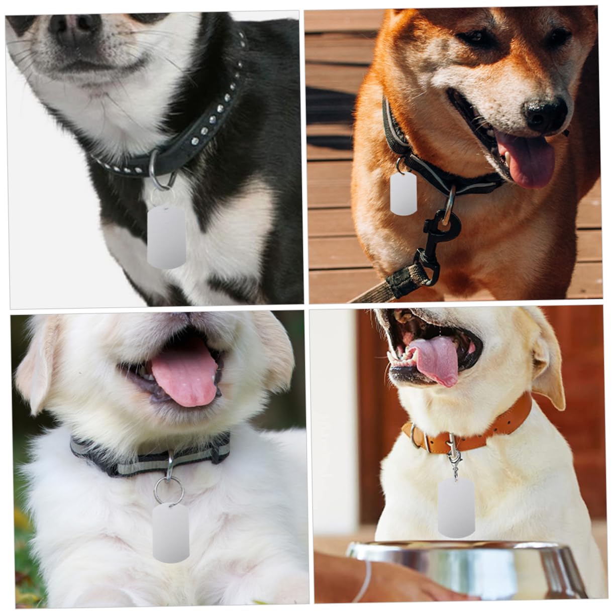 Sosoport 5 Ensembles Étiquette De Taureau en Métal Chiot Étiquette D'identification De Chien Dog Tag Étiquette d'oreille De Bétail Étiquette De Chien Personnalisée Aluminium 25 Pièces * 5