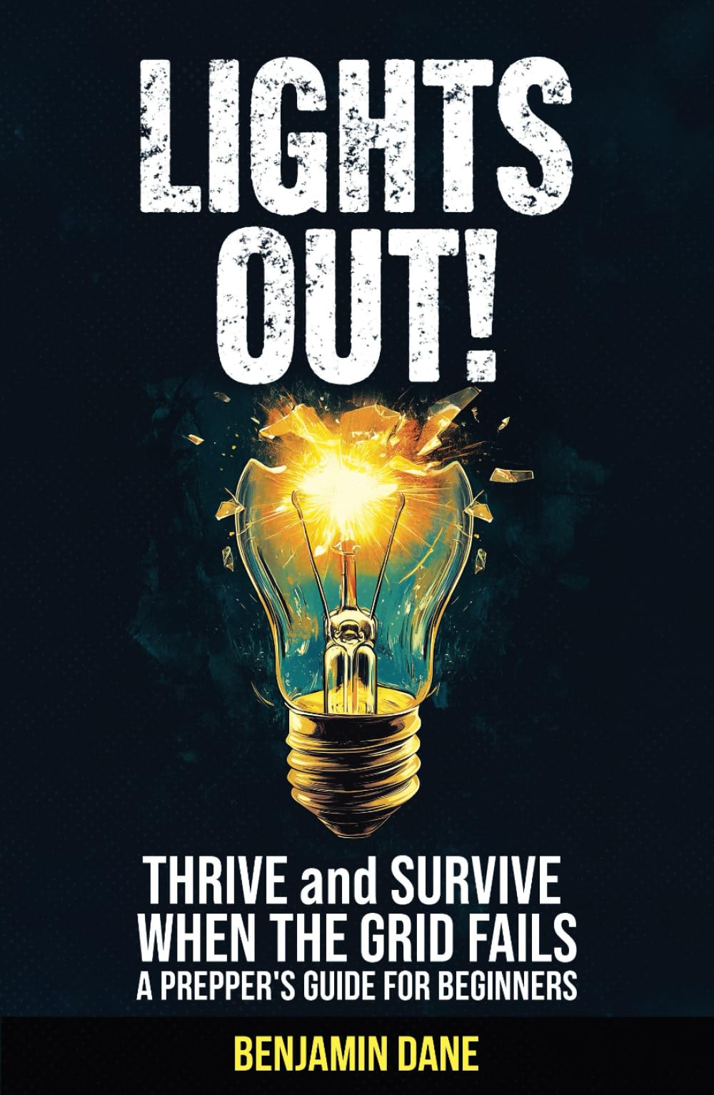 Lights Out!: Thrive and Survive When The Grid Fails—A Prepper's Guide For Beginners