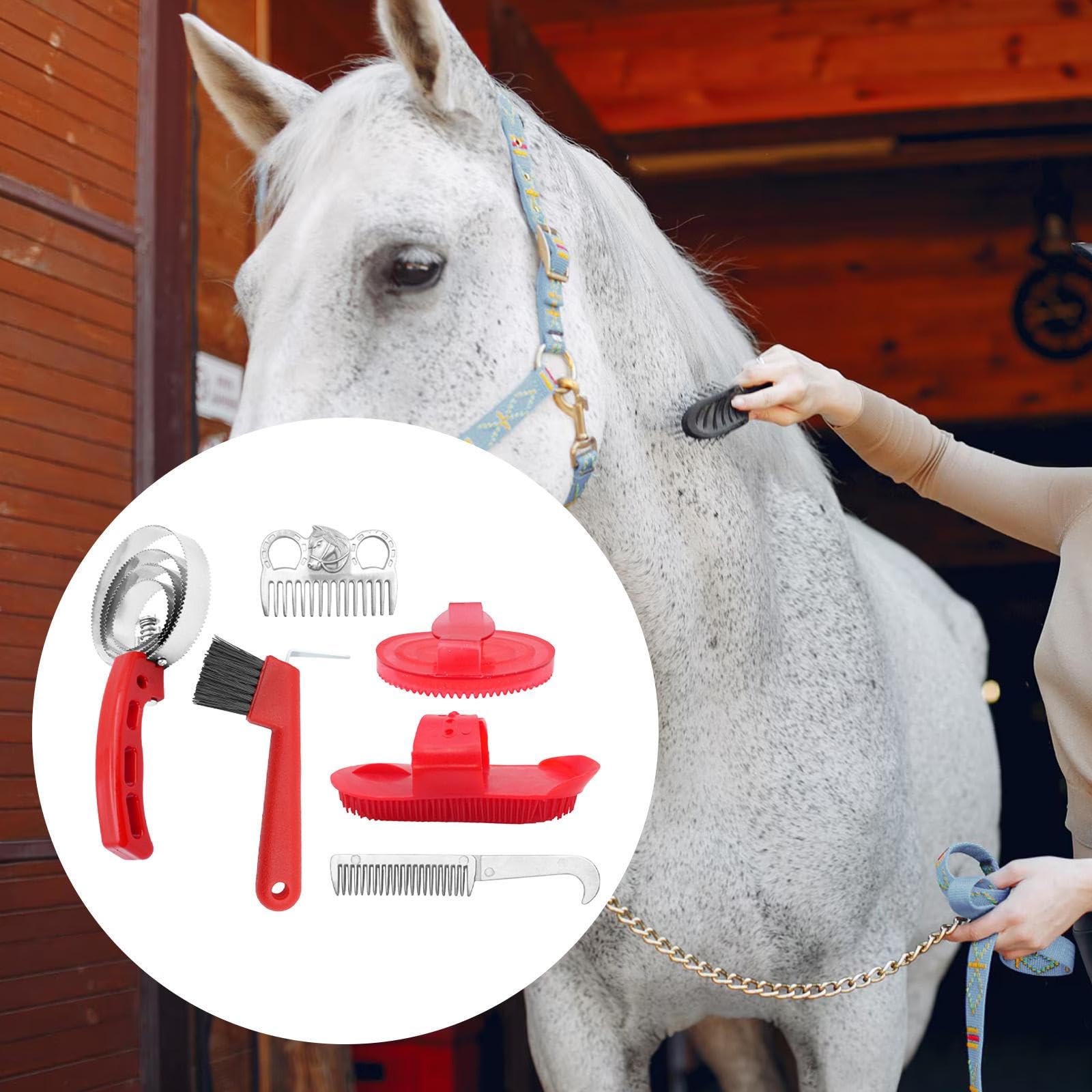 Harilla Kit de 6 Piezas para el Cuidado de Caballos, cepillos Profesionales, Herramientas de Limpieza para el Pelaje equino, Uso Diario.