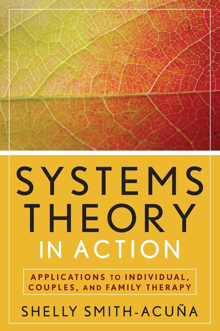 Systems Theory in Action: Applications to Individual, Couple, and Family Therapy