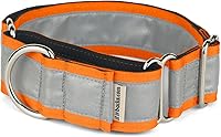 Vista 44 de If It Barks - Collar Martingala reflectante de 1.5 pulgadas con hebilla a presión rápida para perros - Ajustable - Fabricado en Estados Unidos